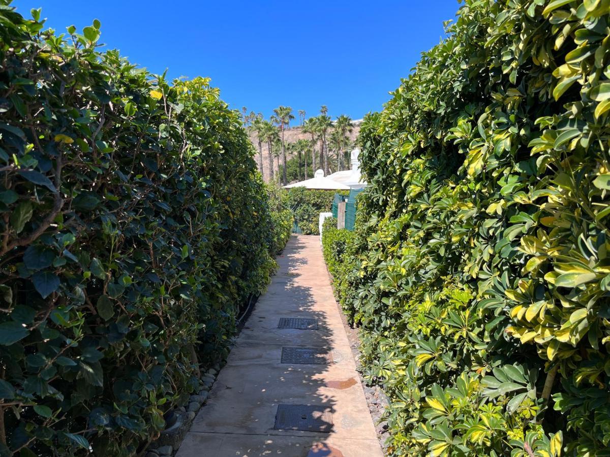 Ahtha Green Bungalow Maspalomas San Bartolomé 외부 사진