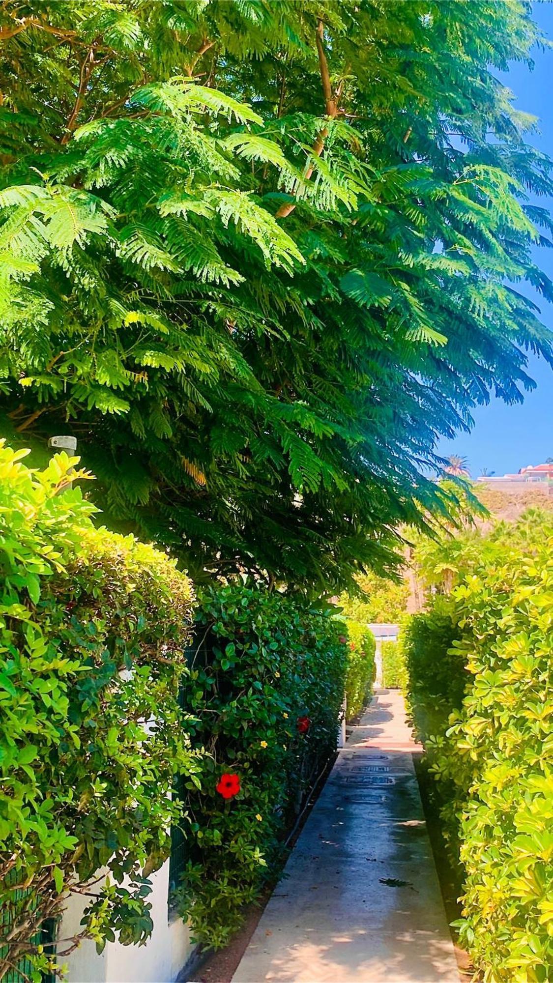 Ahtha Green Bungalow Maspalomas San Bartolomé 외부 사진